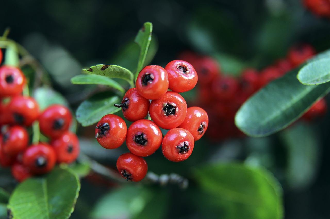 进攻推进以 进攻推进以