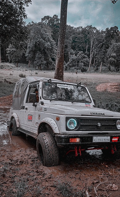 的无限看好 的无限看好