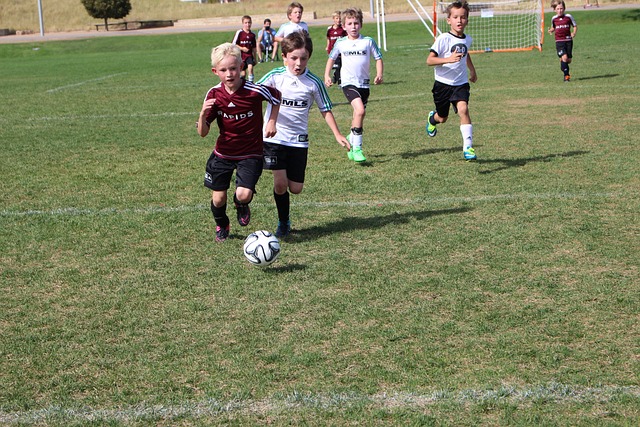 替补球员也 替补球员也