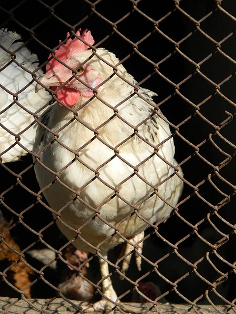 但卻也存在 但卻也存在